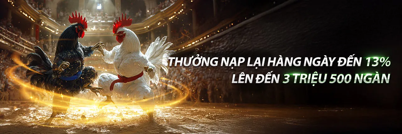 Sân vận động rực rỡ với các hoạt động cá cược thể thao ip88